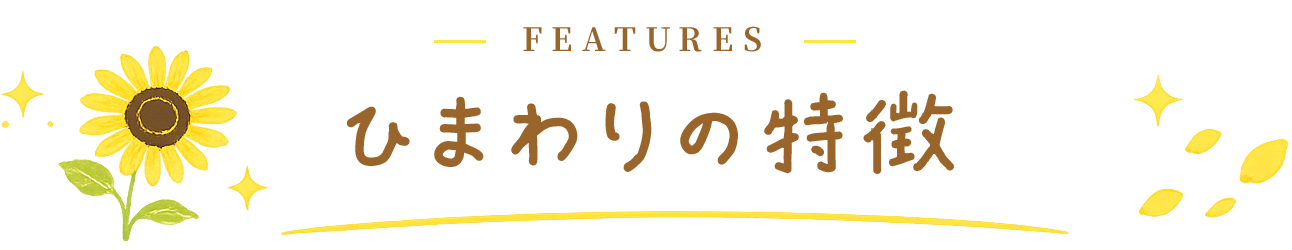 ひまわりの特徴